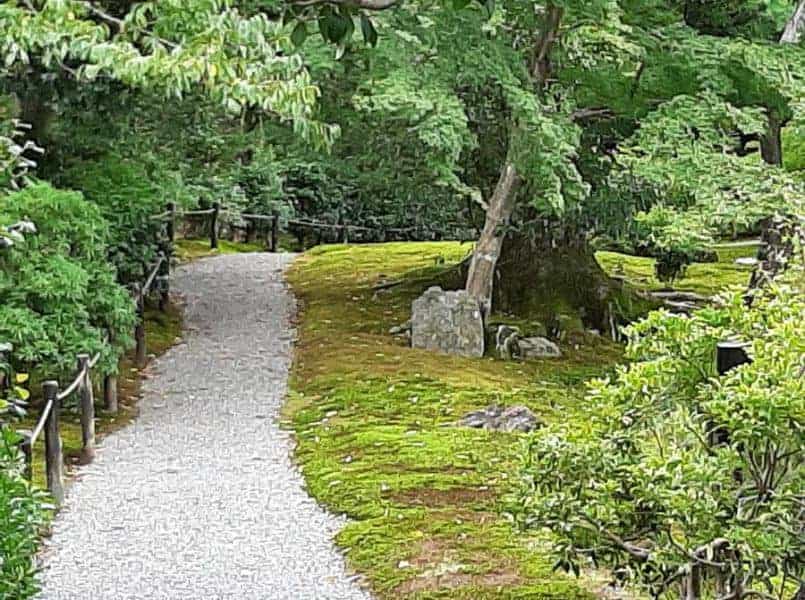 שביל טיול בגן יפני מעוצב