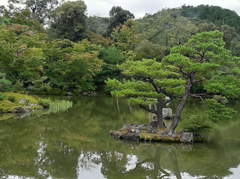 גן יפני עם אי
